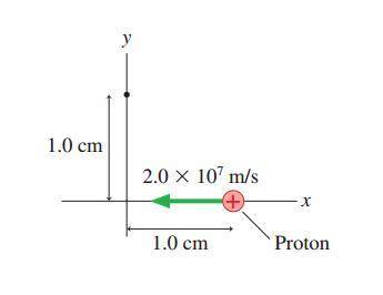 What is the magnetic field at the position of the dot in the following figure (Figure 1)? Give your
