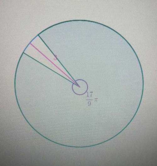 A circle with radius 3 has a sector with a central angle of 17/9π radians.What is the area of the se