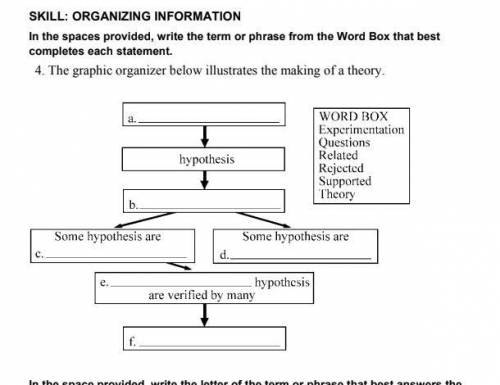 Pls help - graphic organizer for the making of a theory