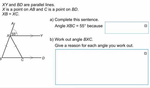 Work out and explain angle size - i will mark you as brainliest