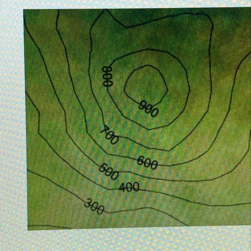 What is the exact elevation of the highest point shown on the topographic map below? A. 800m B. 900m
