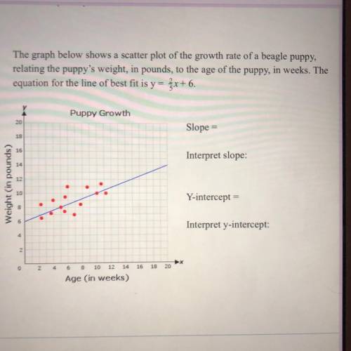 The graph below shows a scatter plot of the growth rate of a beagle puppy, relating the puppy's weig