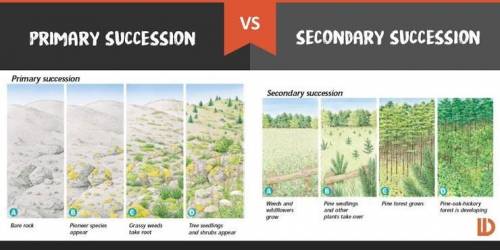 Use the diagram below to explain the difference between primary and secondary succession and give an