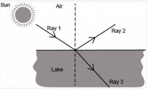 PLEASE ANSWER ASAP! Look at the diagram below. Which statement is true? Ray 2 is the refracted ray.