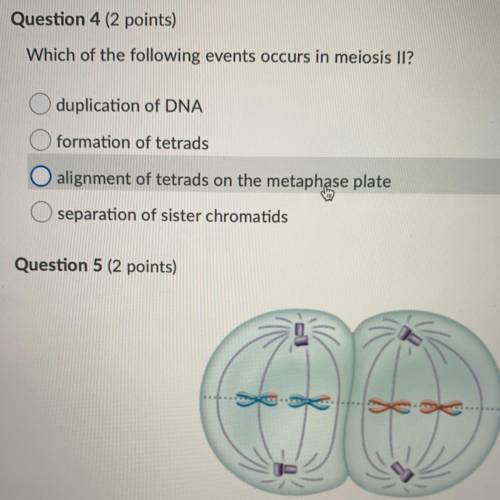Which of the following events occurs in meiosis II?