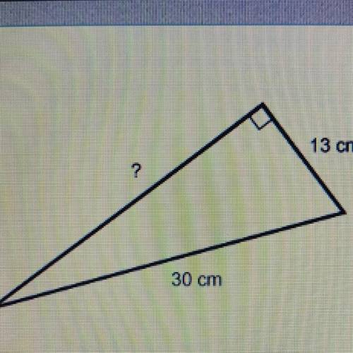 Which is the length of the third side of the right triangle? 13 cm 30 cm
