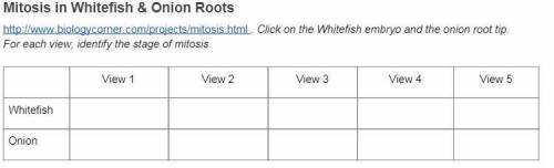Mitosis in whitefish and onion roots  i need help with this