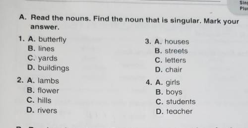 A. Read the nouns. Find the noun that is singular.