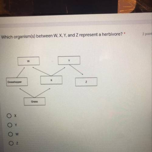 What is the answer to this question,help please.