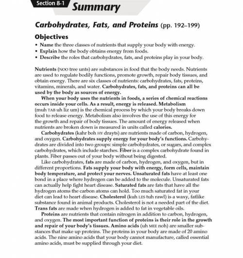 Carbohydrates health essay.