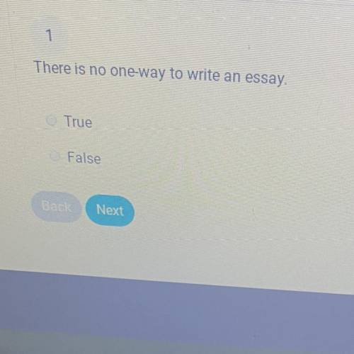 There is no one-way to write an essay?