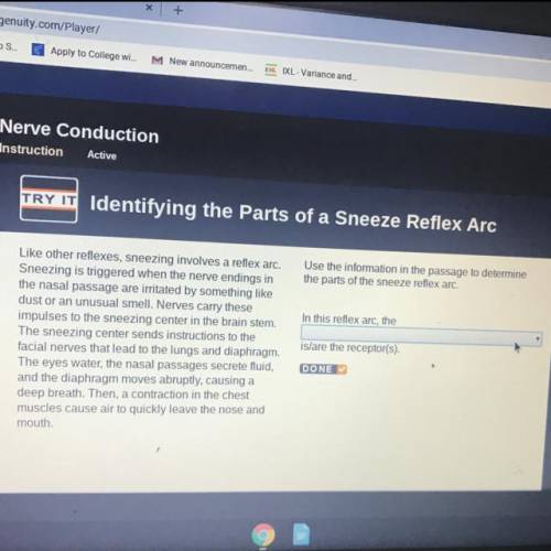 Use the information in the passage to determine the parts of the sneeze reflex arc. In this reflex a