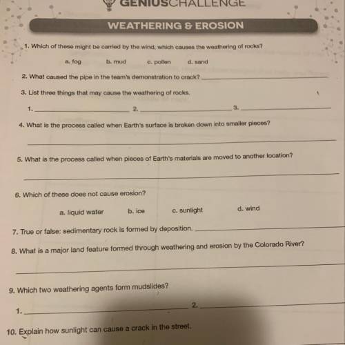 I need with this worksheet