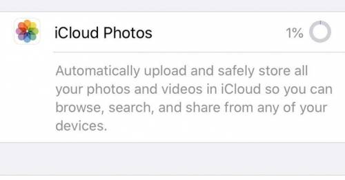 Pleeeease help!! I tried to turn on icloud photos to save storage and it’s been stuck at 1%. does an