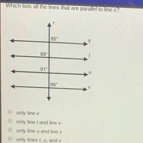 Which lists all the lines that are parallel to lines? 89 only line v only line t and line v only lin