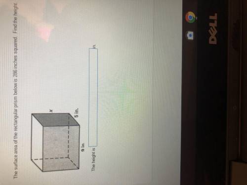 PLEASE HELP ASAP geometry question 100 MAJOR POINTS!!!