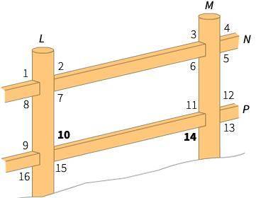 A fence on a hill uses vertical posts L and M to hold parallel rails N and P. ∠10 and ∠14 are altern
