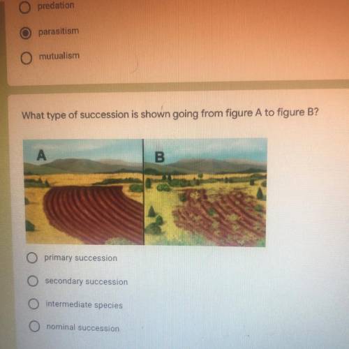 What type of succession shown from figure a to figure b  PLeASe ASAP