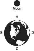 The diagram below shows four coastline locations on Earth with respect to the moon at a given time.
