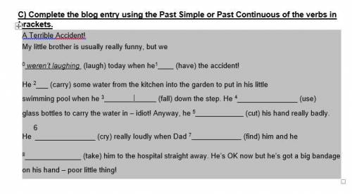 C) Complete the blog entry using the Past Simple or Past Continuous of the verbs in brackets. Es una