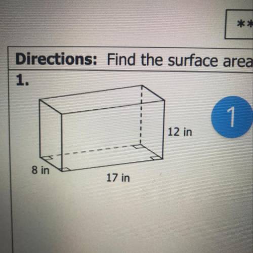 What is the surface area in the figure