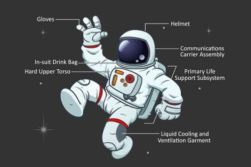 To travel to space, you need more than just the clothes on your back! Astronauts put on spacesuits t