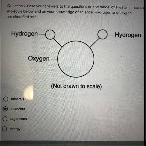 What is oxygen and hydrogen classified as: minerals, elements, energy, or organisms (PLEASE HELO ASA