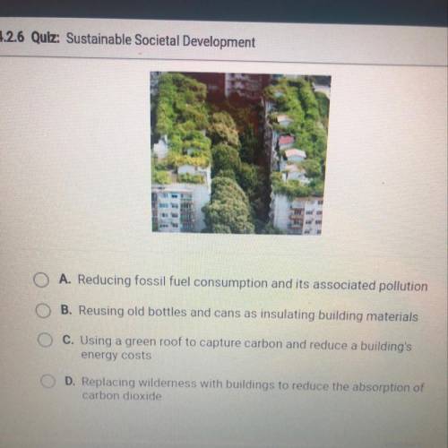 Which sustainable building practice does the photograph show?