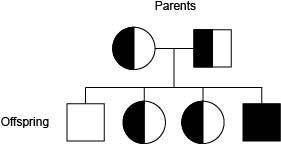 HELP. Sickle cell anemia is known to run in a family. A pedigree chart for this family is shown belo
