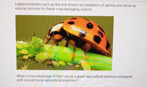 Ladybird beetles such as the one shown are predators of aphids and serve asnatural controls for thes