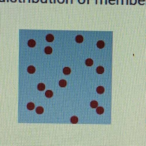 The image below shows the distribution of members of a population. What type of distribution is show