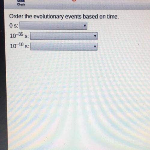 Order the evolutionary events based on time. 0 s: 10-35 s: 10-10 s: