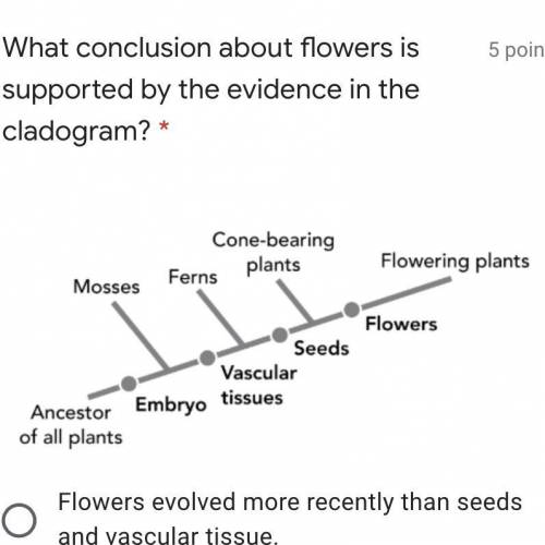 What conclusion about flowers is supported by the evidence in the cladogram? * 5 points Captionless