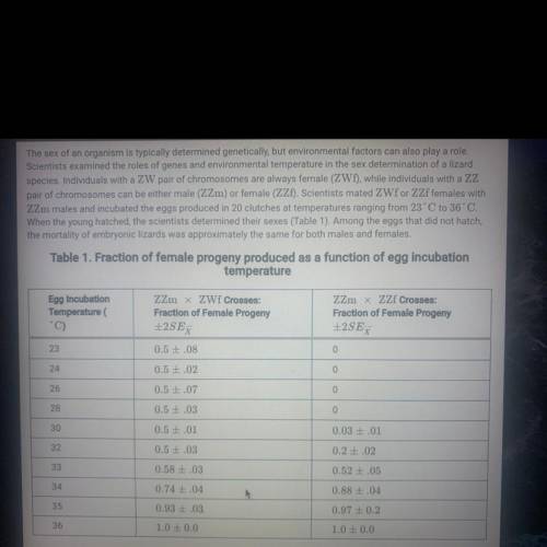 Predict the effect of increasing global temperatures on the continued presence of the W chromosome i