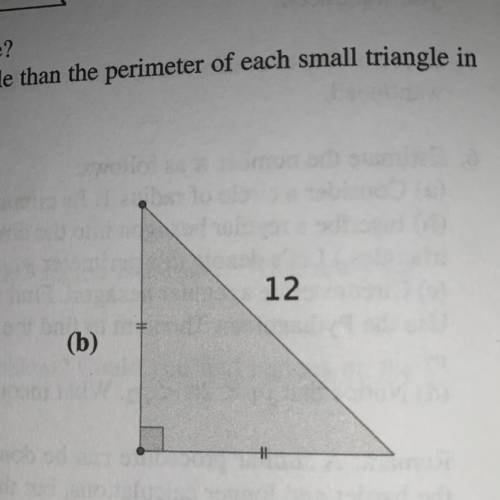Need help finding the area of this triangle !