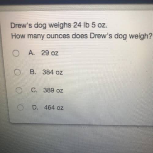 Drew’s dog weighs 24 lb 5 oz. How many ounces does drew’s dog weigh?