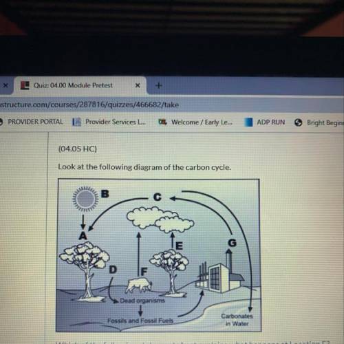 Look at the following diagram of the carbon cycle. Dead organisms Fossils and Fossil Fuels Carbonate