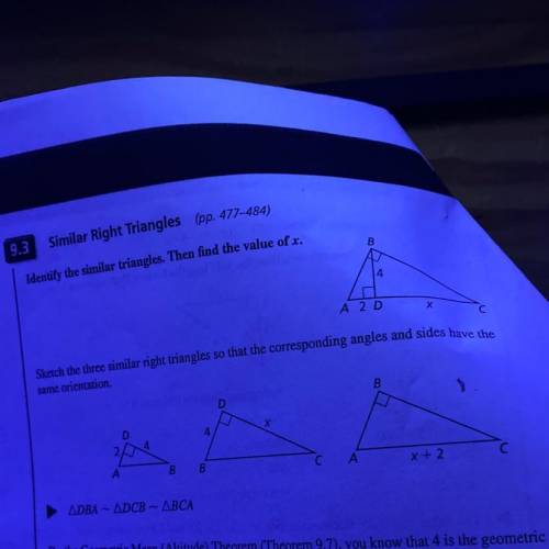 Identify the similar triangles them find the x