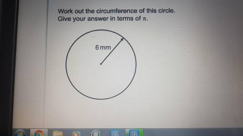 Work out the circumference of a circle. Give your terms of pi