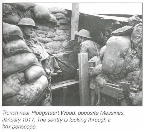 What was it like to be a soldier in a trench during WWI?  Aim for 80-100 words Write a response in y