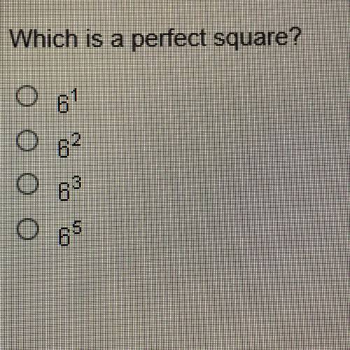 Which is a perfect square 61 62 63 64