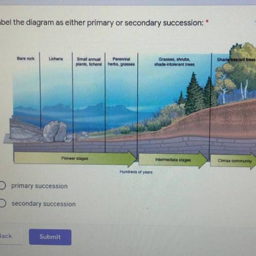 Is that primary or secondary succession?