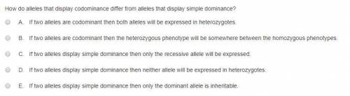 How do alleles that display codominance differ from alleles that display simple dominance?