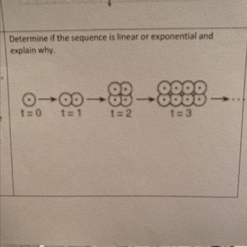 Please help me out with this Algebra 1 question