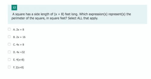 A square has a side length of (x+8) feet long. Which expression(s) represent(s) the perimeter of the
