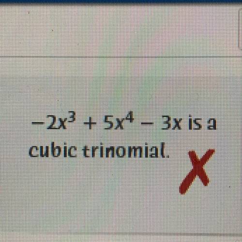 Is this a linear trinomial, forth-degree trinomial, quadratic trinomial or a degree-8 polynomial?