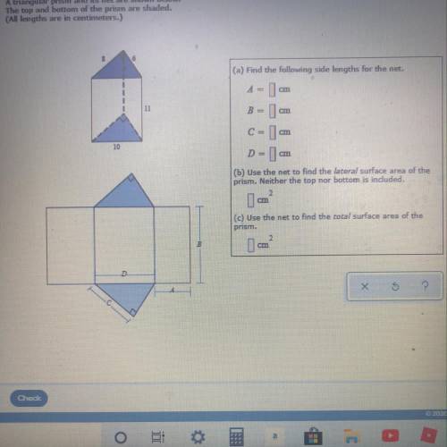 Need help on this I don’t know what to do