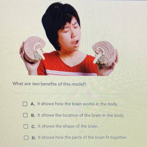 The student is holding a model of the human brain