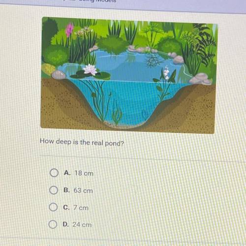 Please please please help me 6th grade science. The illustration shows a scale model of a pond in a