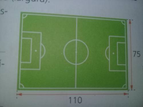 Na figura ao lado, aparece a representação de um campo de futebol e das medidas da linha lateral (co